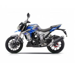 Мотоцикл Regulmoto T-Leopard 300