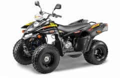 Квадроцикл STELS ATV 110A Hugo